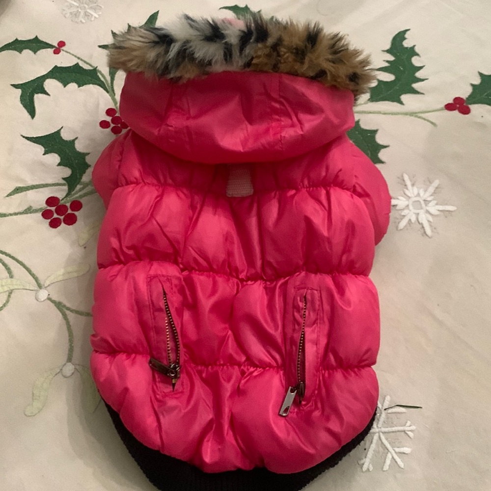 🔵 dog jacket by Petsoo